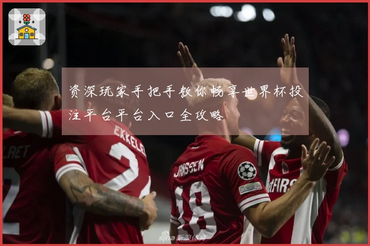 资深玩家手把手教你畅享世界杯投注平台平台入口全攻略
