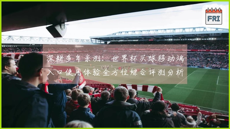 深耕多年亲测：世界杯买球移动端入口使用体验全方位综合评测分析