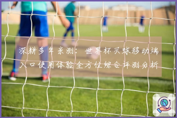 深耕多年亲测：世界杯买球移动端入口使用体验全方位综合评测分析