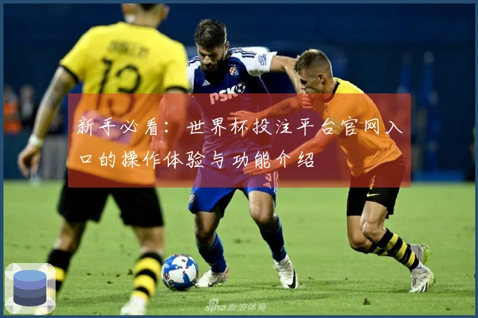 新手必看:世界杯投注平台官网入口的操作体验与功能介绍
