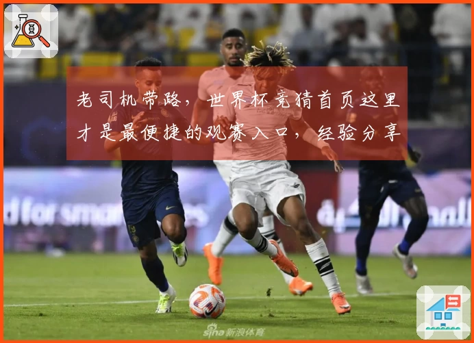 老司机带路，世界杯竞猜首页这里才是最便捷的观赛入口，经验分享给你