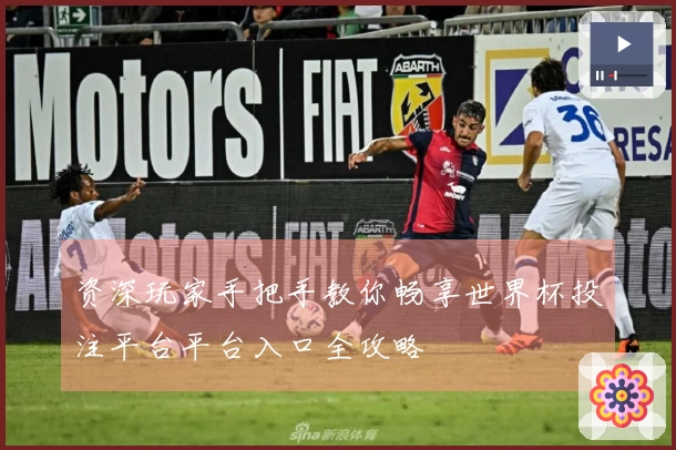 资深玩家手把手教你畅享世界杯投注平台平台入口全攻略
