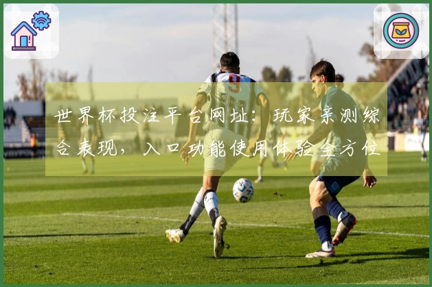 世界杯投注平台网址：玩家亲测综合表现，入口功能使用体验全方位分享