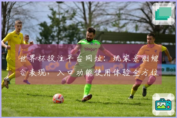世界杯投注平台网址：玩家亲测综合表现，入口功能使用体验全方位分享