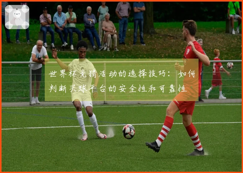 世界杯竞猜活动的选择技巧：如何判断买球平台的安全性和可靠性